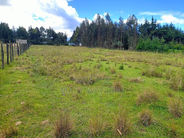 18 Acres for Sale - thumbnail 6