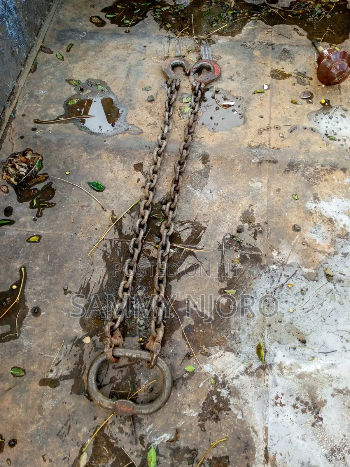 Lifting Chain