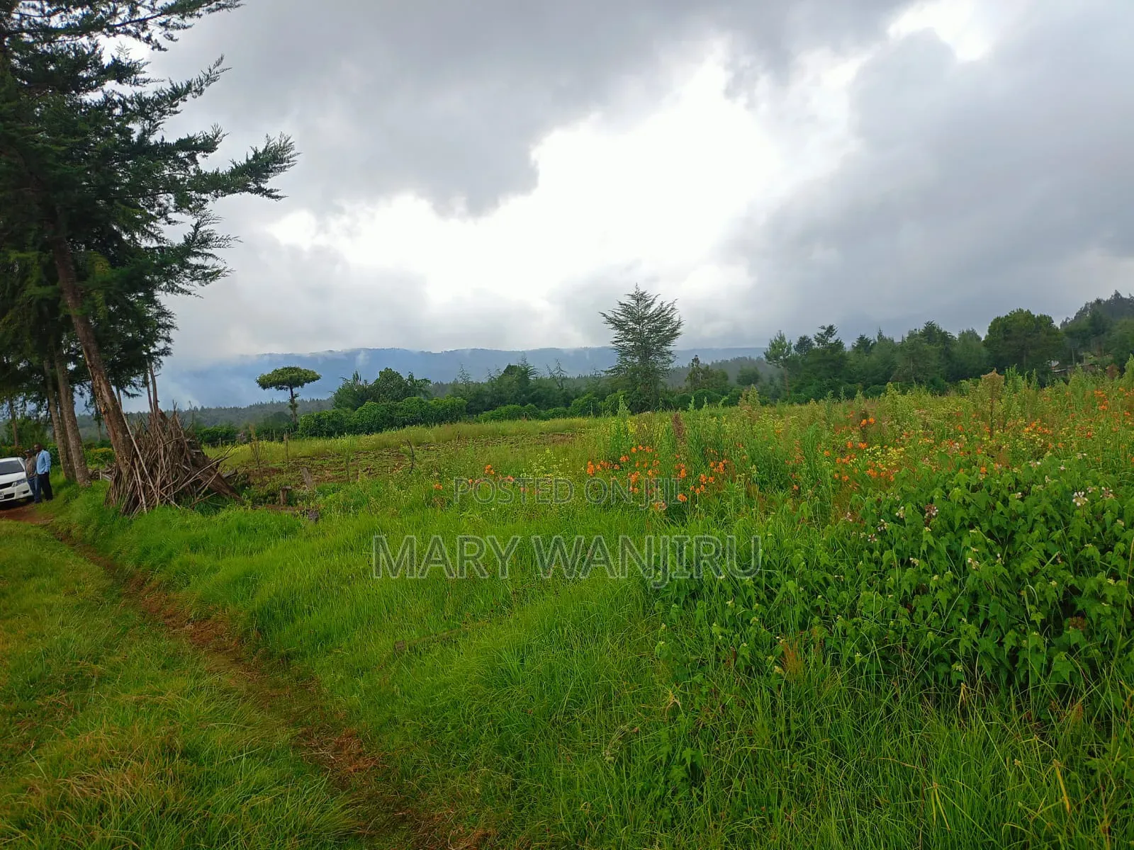19 Acres for Sale