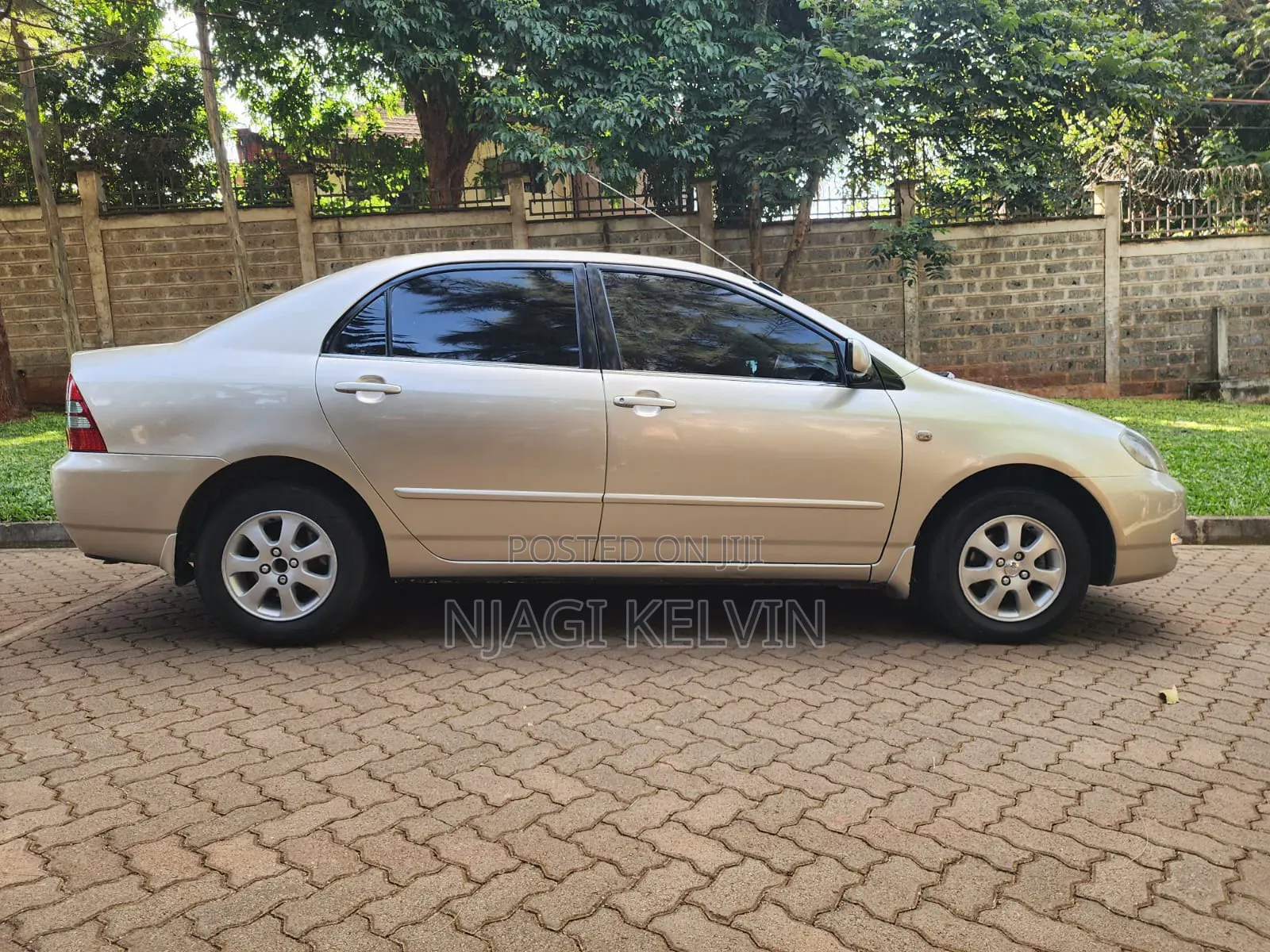 Toyota Corolla 2003 Gold