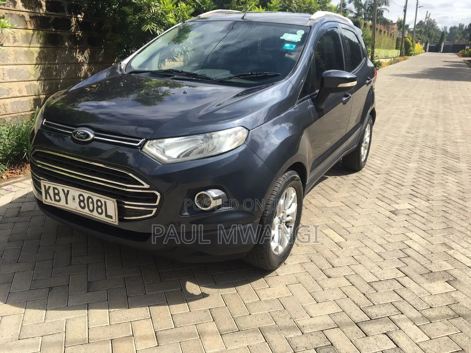 Ford Ecosport 2013 Gray