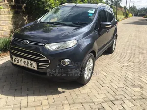 Ford Ecosport 2013 Gray
