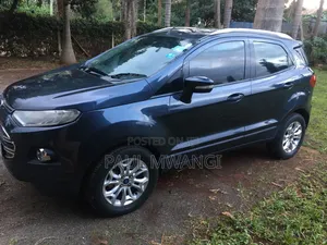 Ford Ecosport 2013 Gray