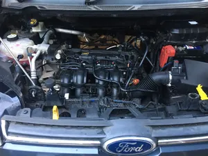 Ford Ecosport 2013 Gray