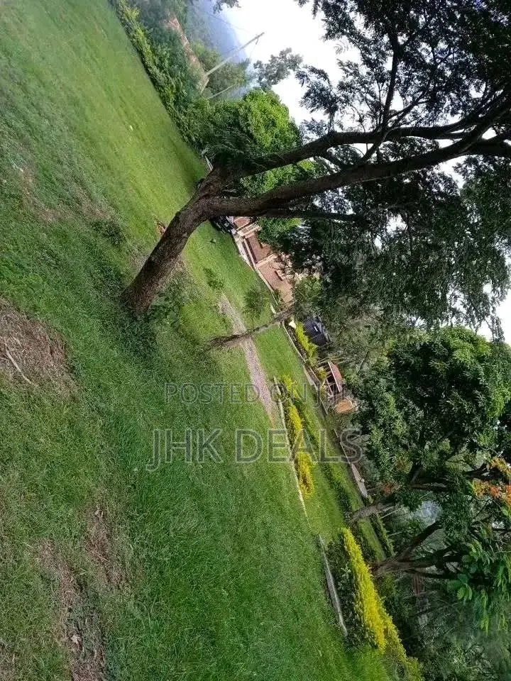3bdrm Bungalow in Ojola, Ojolla for rent