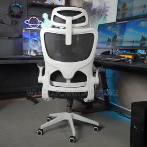 Office Chairs; White Orthopedic Recliner Office Chairs