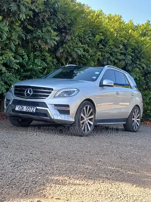 Mercedes-Benz M Class 2014 Silver