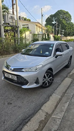 Toyota Axio 2019 Silver