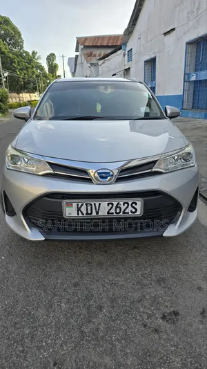 Toyota Axio 2019 Silver
