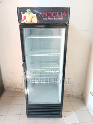 Commercial Beverage Display Fridge