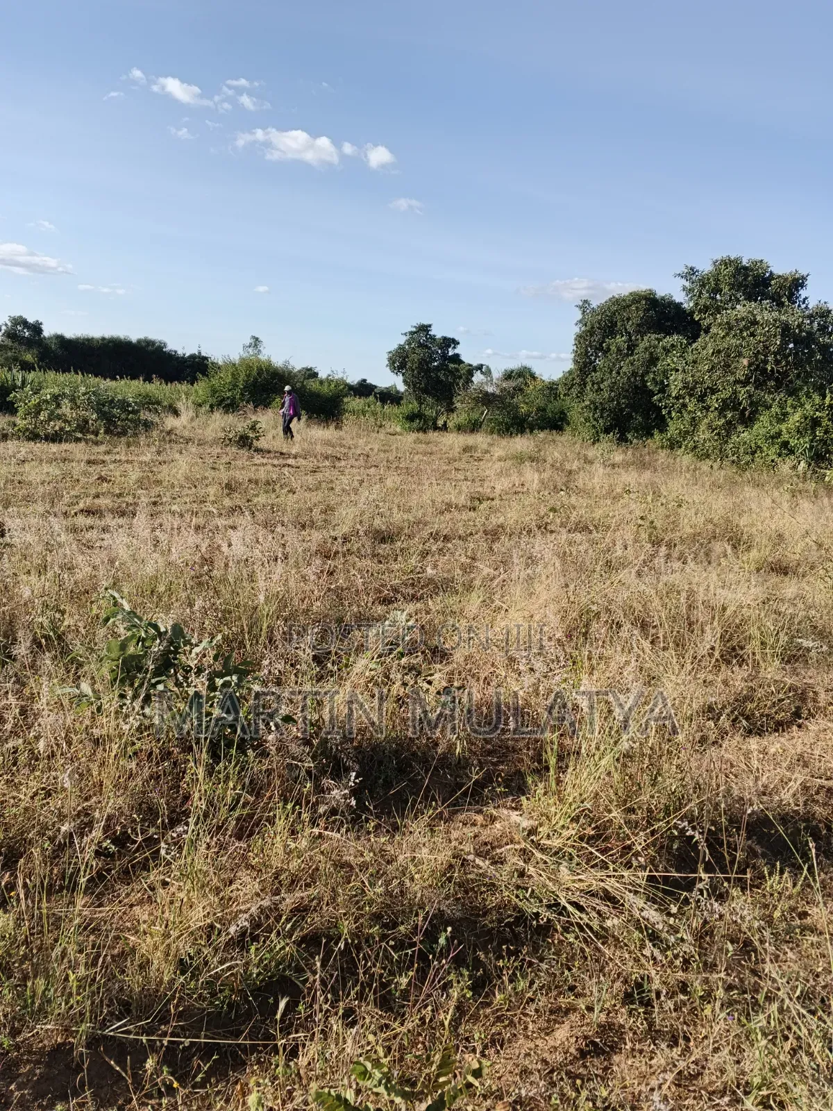 1acre at Nguluni