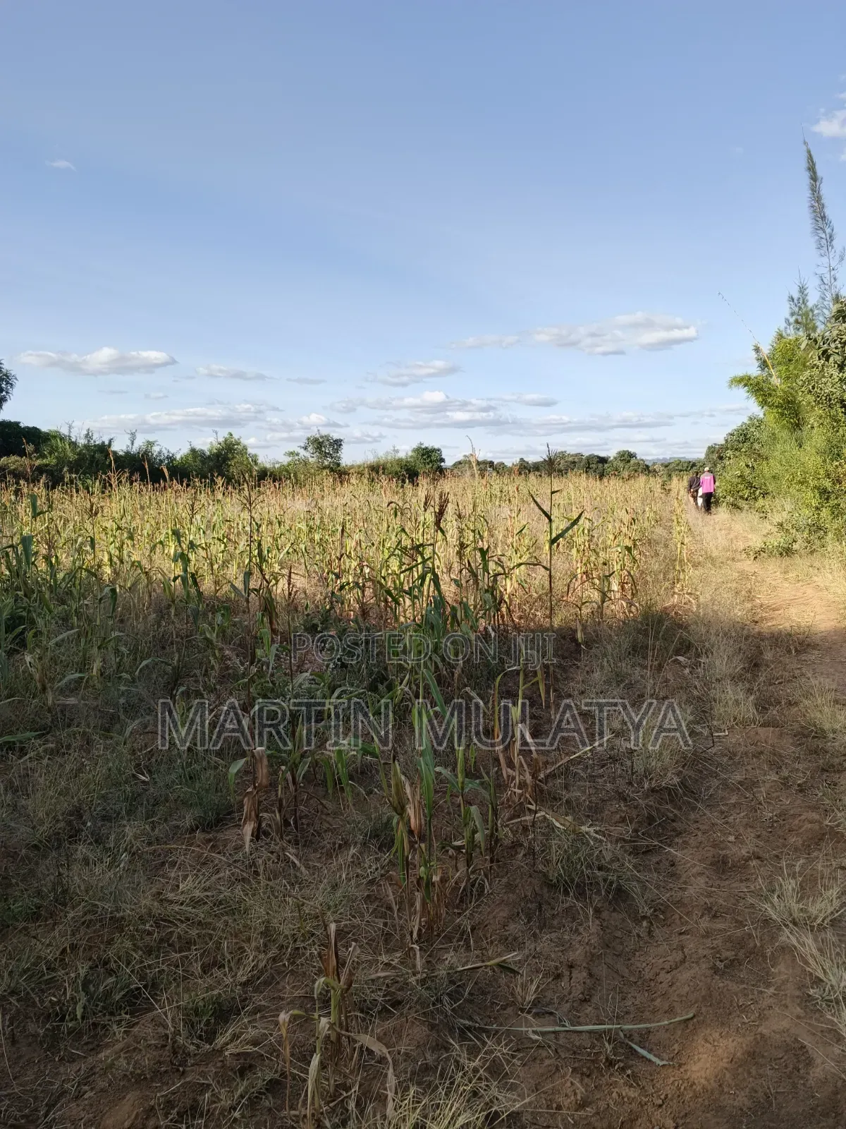 1acre at Nguluni