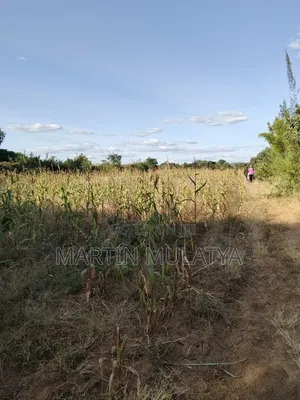 1acre at Nguluni