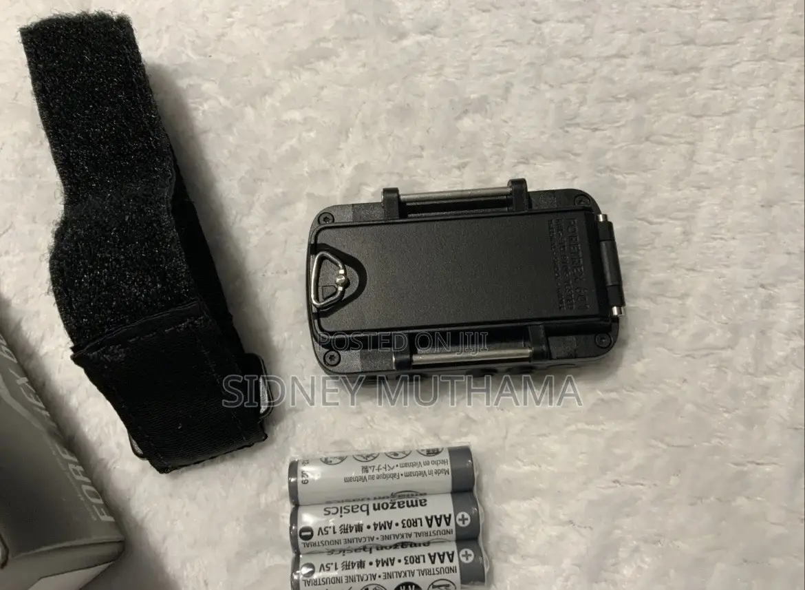 Garmin Foretrex 601