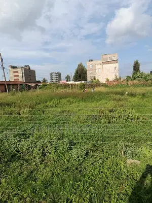 Ruiru Kimbo - Commercial Plots on Sale Near St. Linda's
