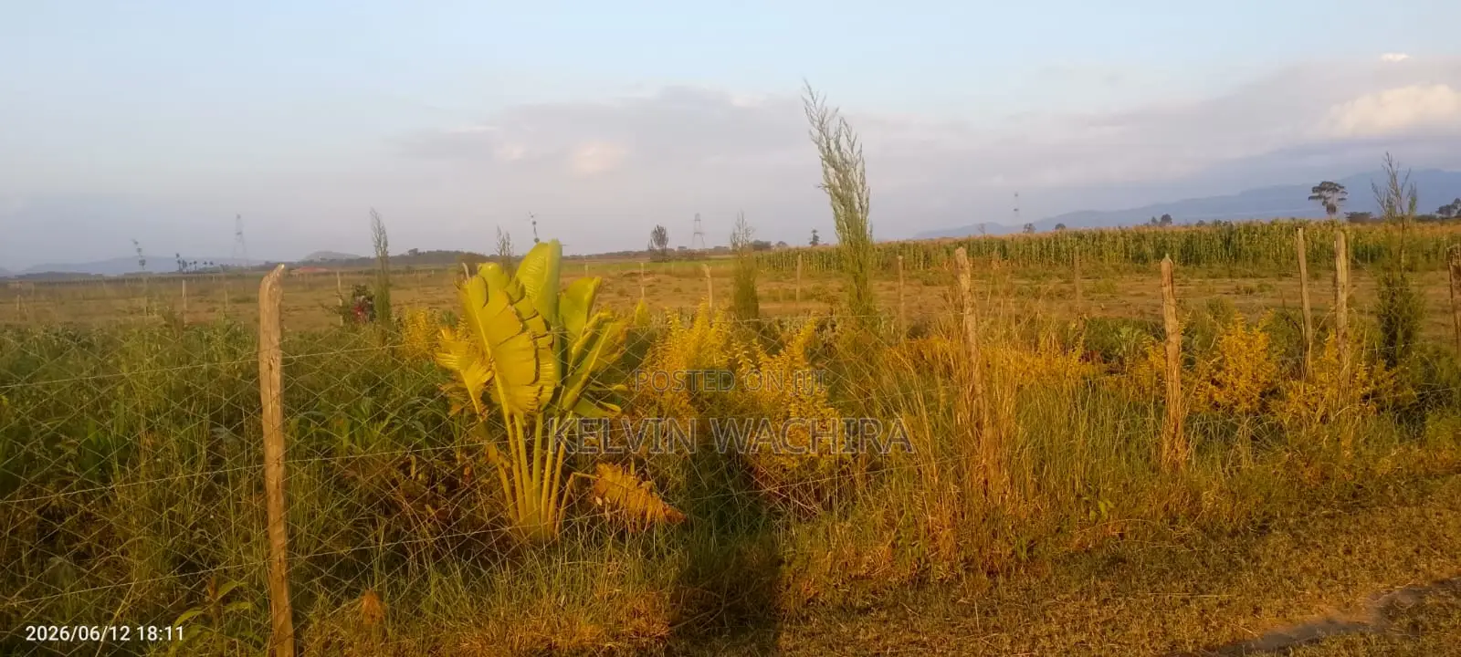 Buy and Build Ready Plot 50*100