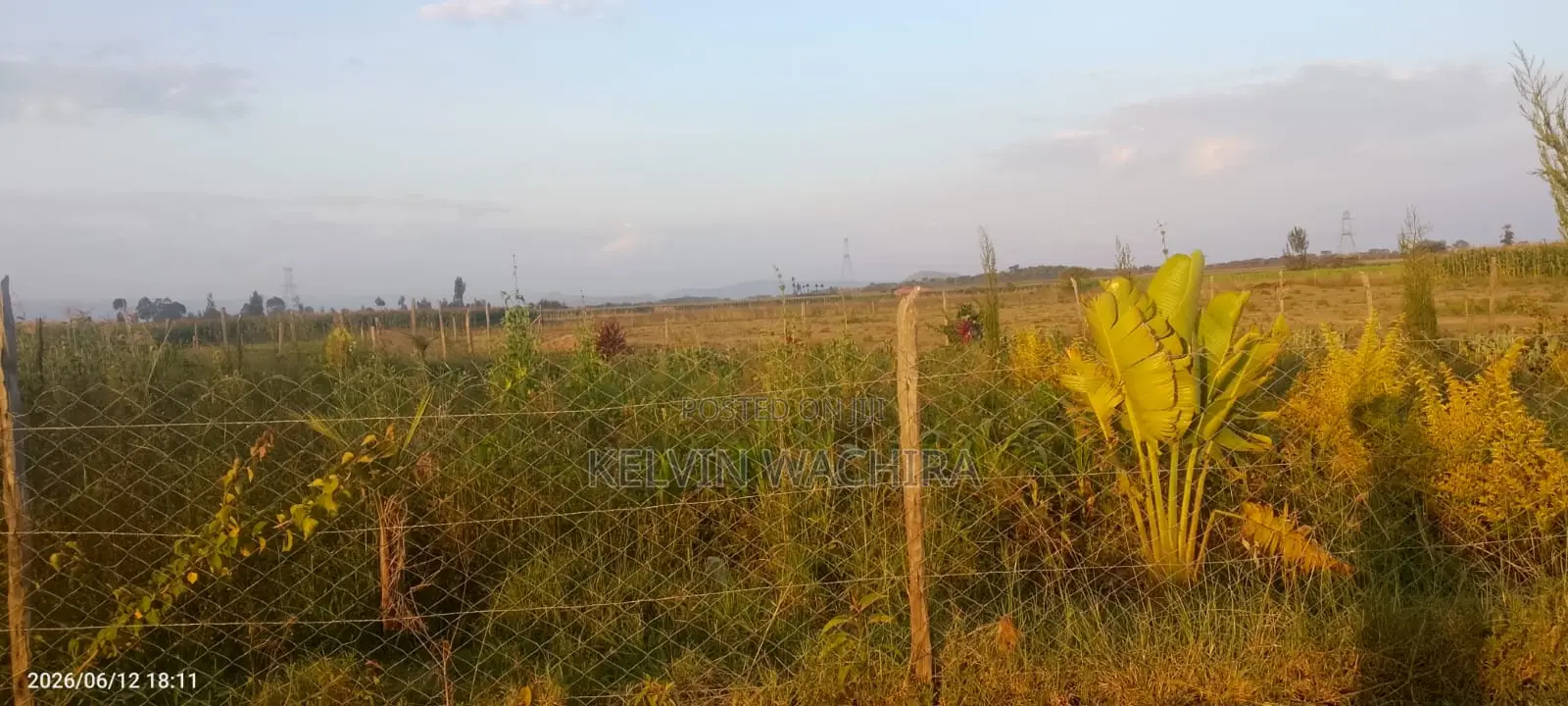 Buy and Build Ready Plot 50*100