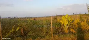 Buy and Build Ready Plot 50*100