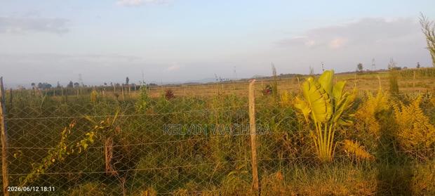 Buy and Build Ready Plot 50*100 - thumbnail 2