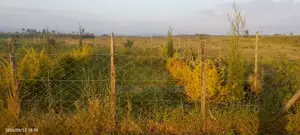 Buy and Build Ready Plot 50*100