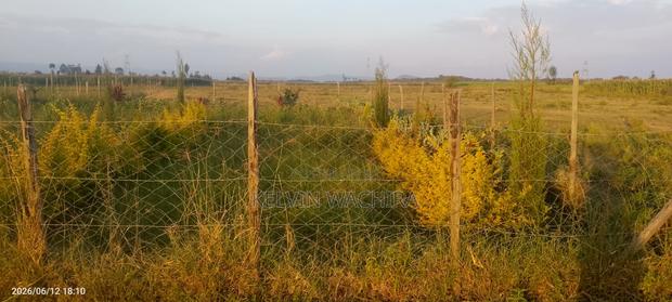 Buy and Build Ready Plot 50*100 - thumbnail 3