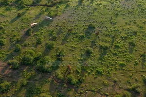 Prime Land/ Plot for Sale in Amboseli