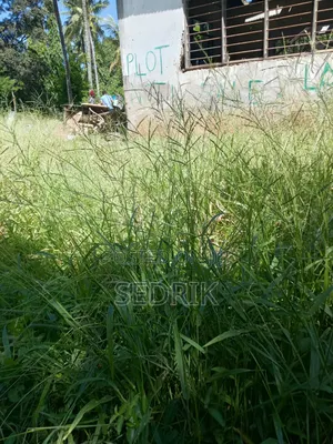 Prime Land For Sale In Kilifi