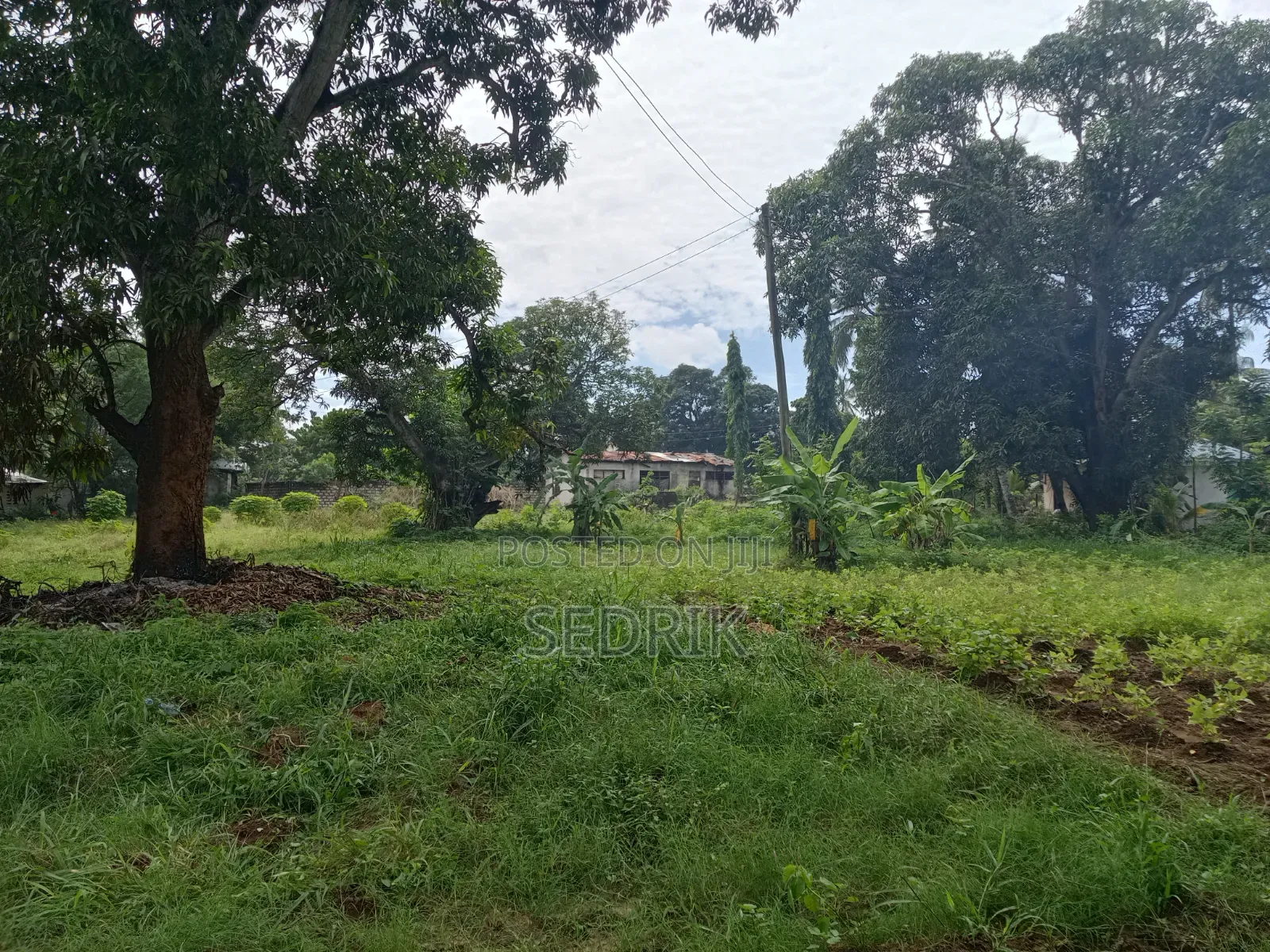 Prime Land For Sale In Kilifi
