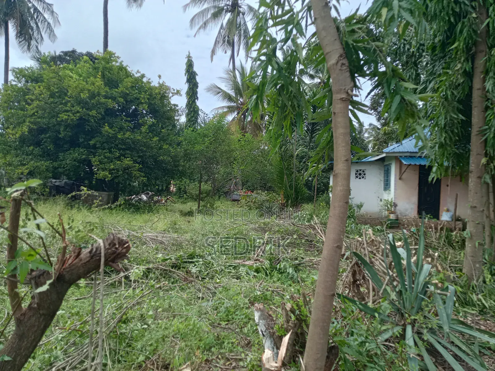 Prime Land For Sale In Kilifi
