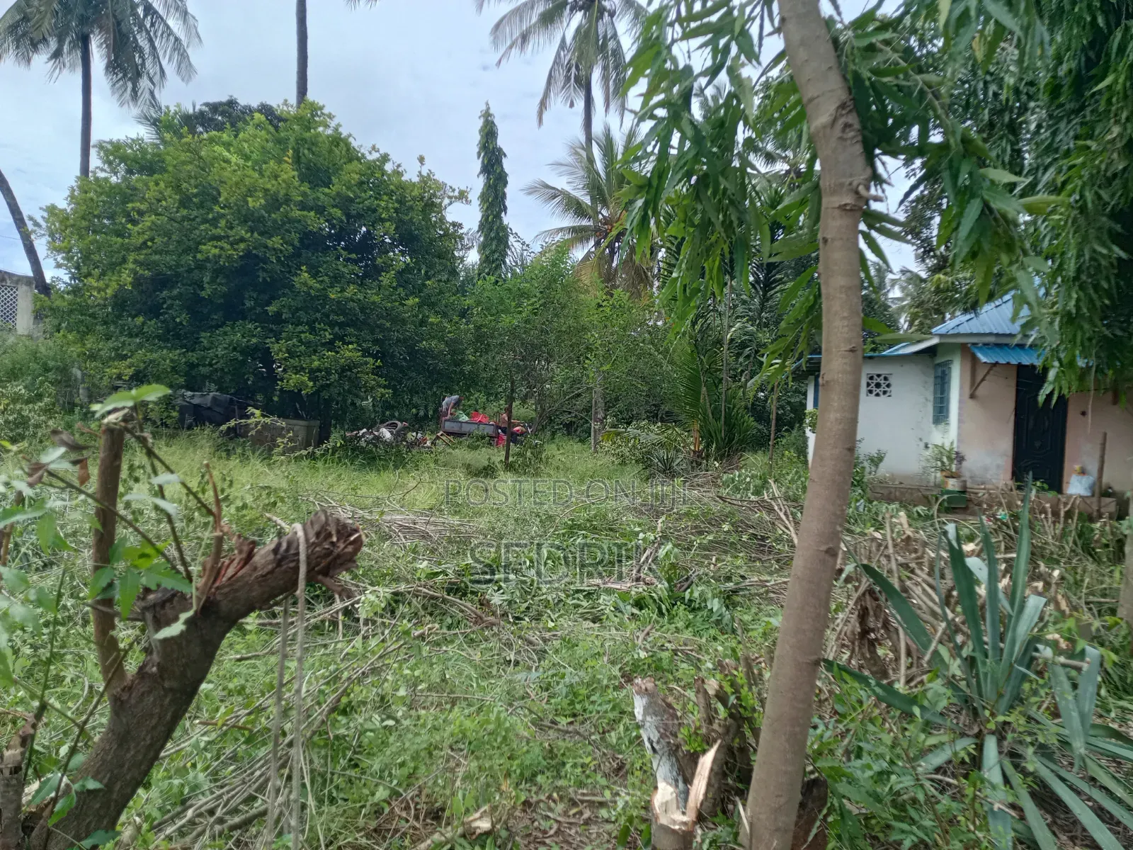 Prime Land For Sale In Kilifi