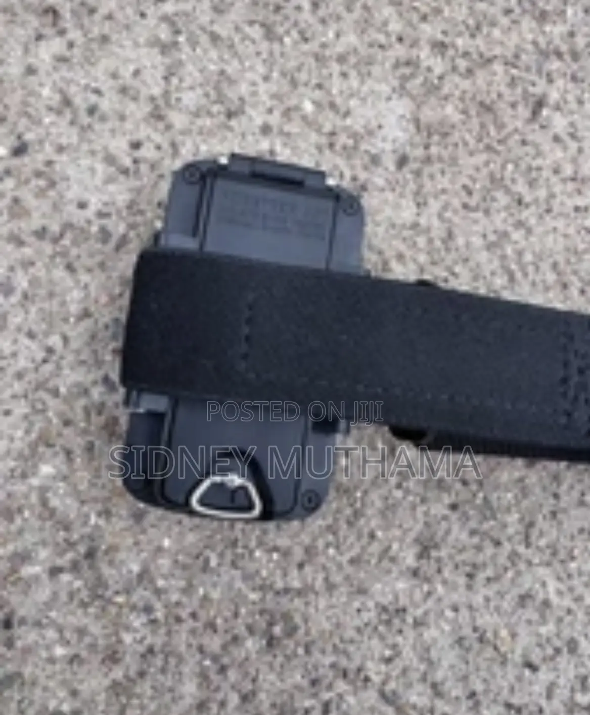 Garmin Foretrex 601