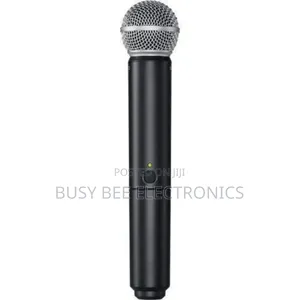Shur Blx288/Pg58 Wireless Mic System,