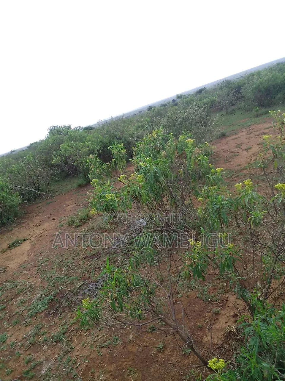 Land for Sale Rumuruti Maundu Ni Meri