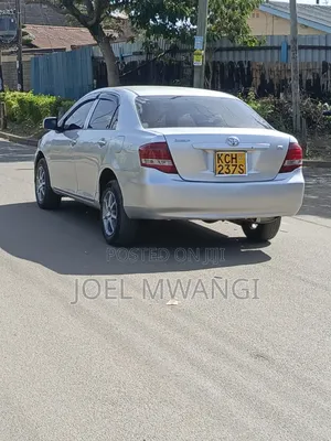 Toyota Axio 2009 Silver