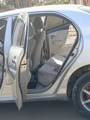 Toyota Axio 2009 Silver