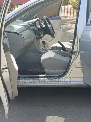 Toyota Axio 2009 Silver