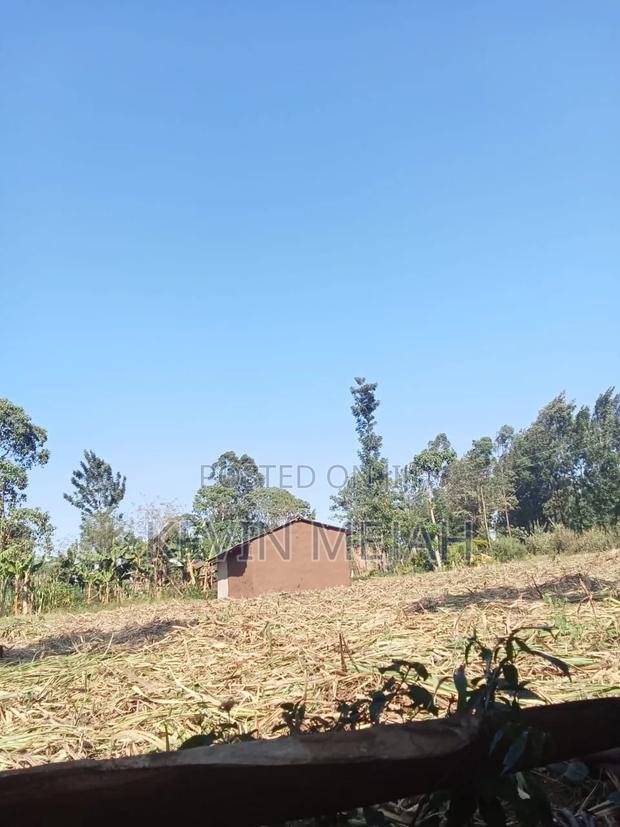 Land For Sale - thumbnail 2
