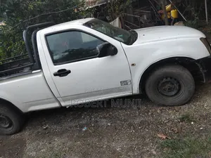 Isuzu D-MAX 2011 White