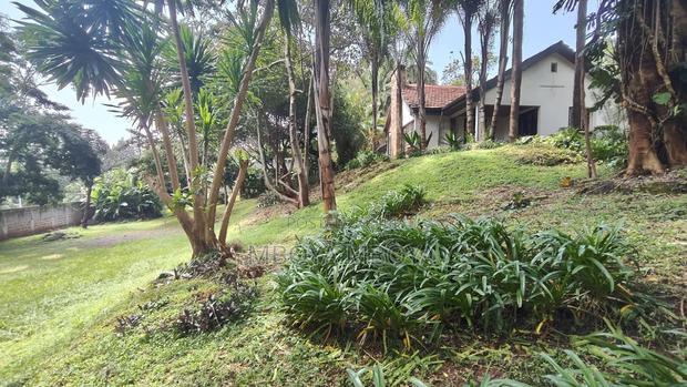 .87 Acres Land for Sale in Kyuna - main view
