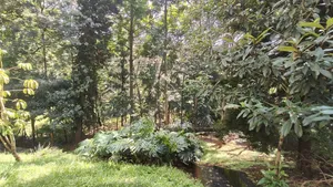 .87 Acres Land for Sale in Kyuna