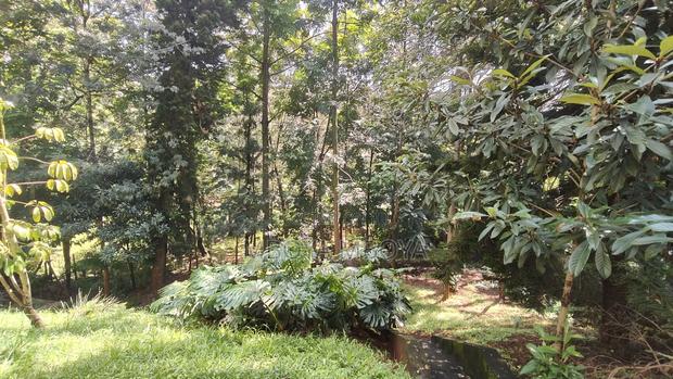 .87 Acres Land for Sale in Kyuna - thumbnail 3