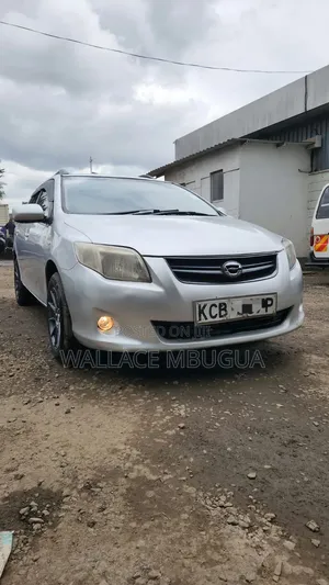 Toyota Corolla Fielder 2007 Silver
