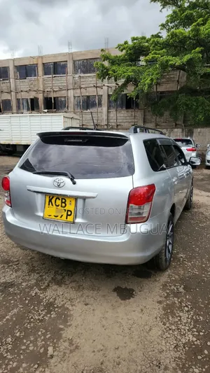 Toyota Corolla Fielder 2007 Silver