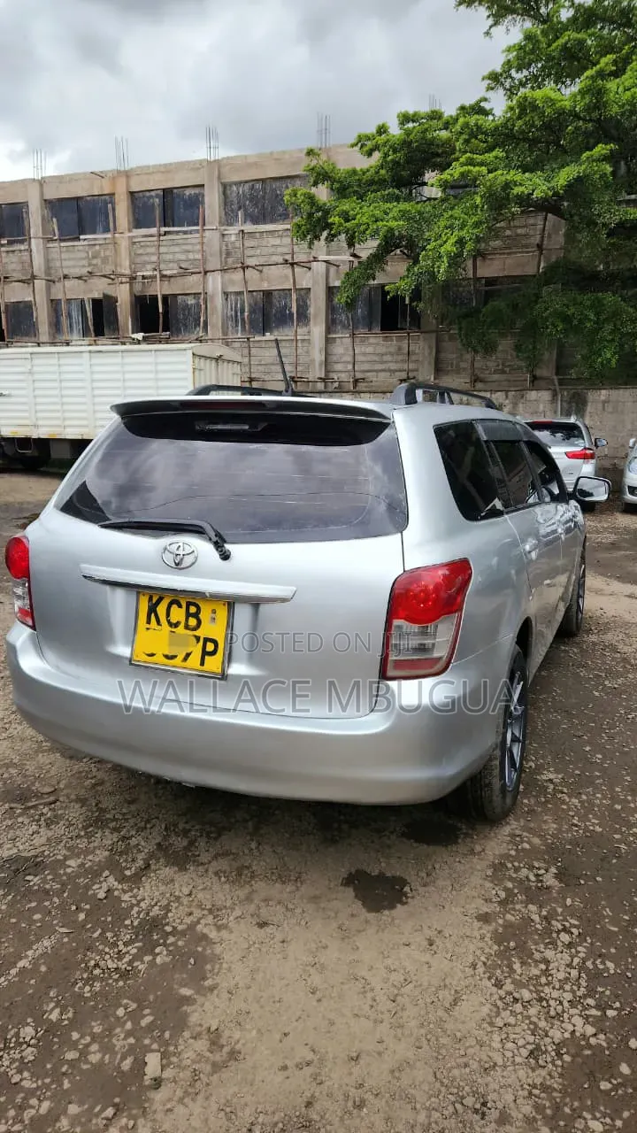 Toyota Corolla Fielder 2007 Silver