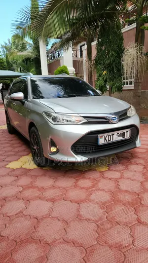 Toyota Corolla Fielder 2019 Silver