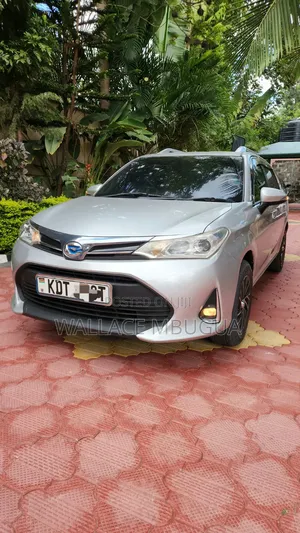 Toyota Corolla Fielder 2019 Silver