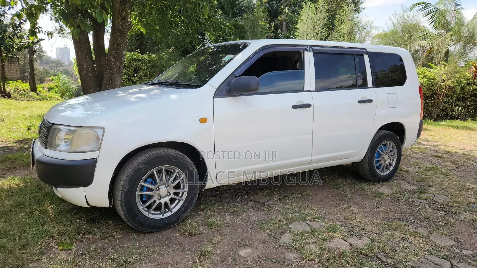 Toyota Probox 2013 White