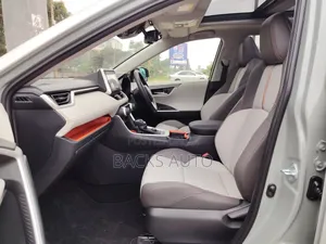 Toyota RAV4 2020 Gray