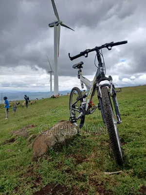 Bulls Mountain Bike