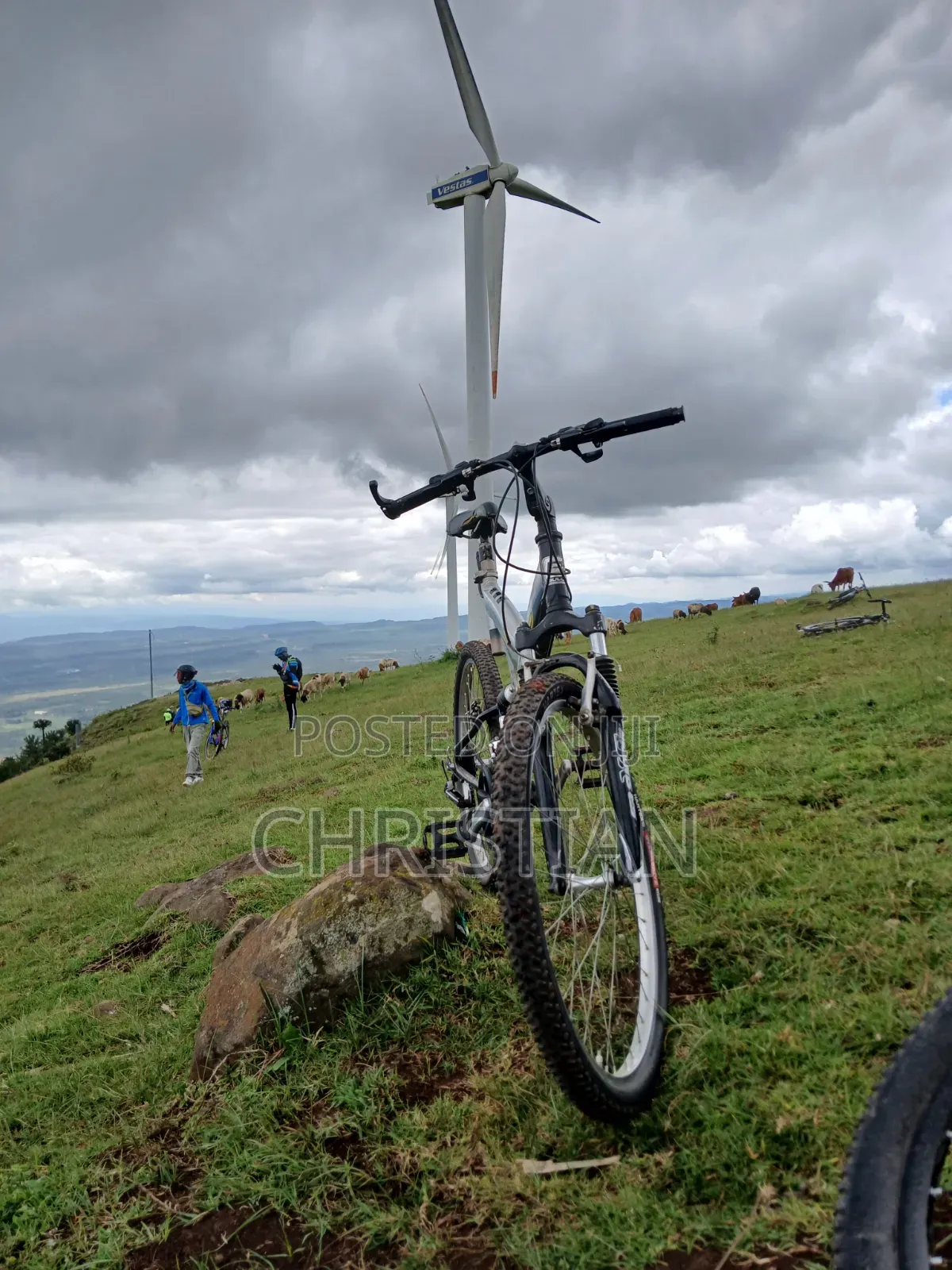 Bulls Mountain Bike